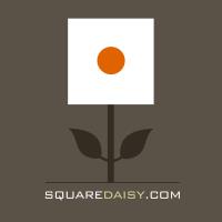 Square Daisy image 1